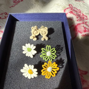 Earrings