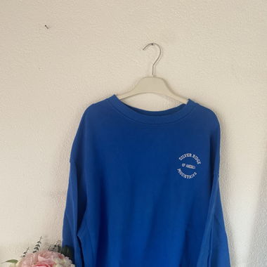 Blue sweatshirt