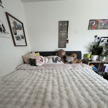 Boxspringbett (Doppelbett)