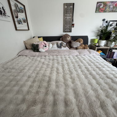 Boxspringbett (Doppelbett)