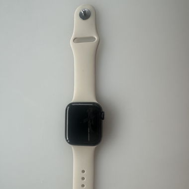 Apple Watch Series 5 (Stainless Steel)