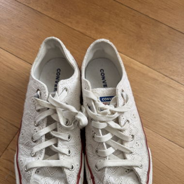 Converse Chucktaylor Embroidered shoes