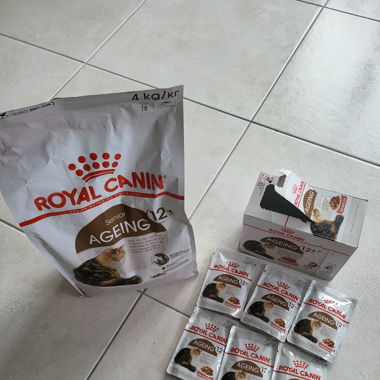 Royal Canin Ageing 12 plus Trockenfutter und Sosse