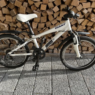 Vélo enfant Giant Bass 20