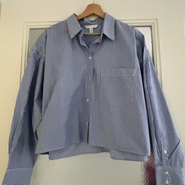 Blue Striped Shirt