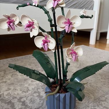 LEGO Orchidee