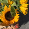 TheSunflowerCloset