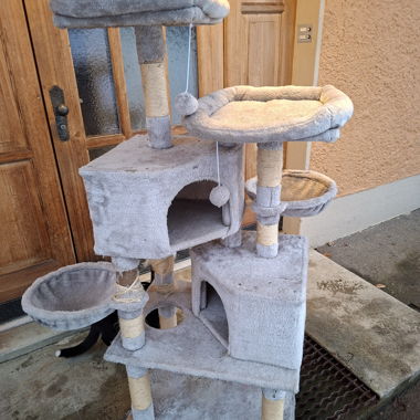 Arbre à chat à griffer gris