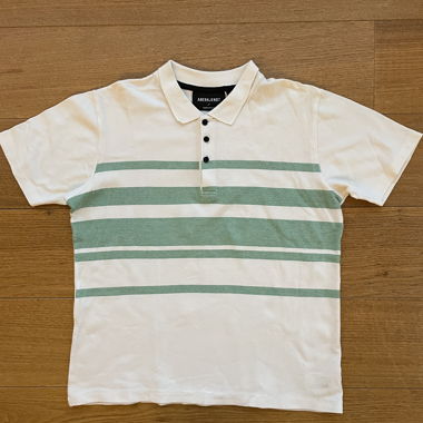 Anerkjendt Polo-Shirt 