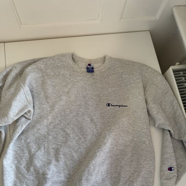 Champion Sweatshirt