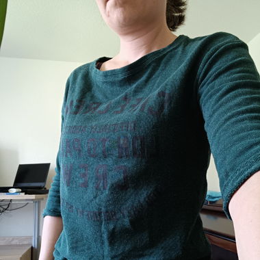 Pullover grün