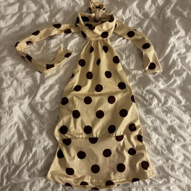 Polka Dot Halter Neck Top