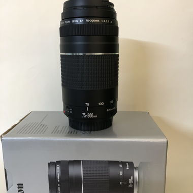 CANON EF 75-300mm F/4-5.6 (EF-Mount)