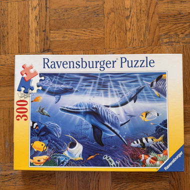 Dolphin Puzzle (ravens burger)