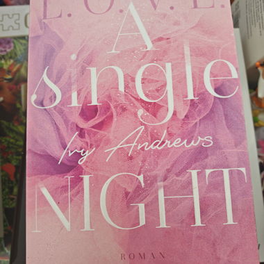 Love a Single Night