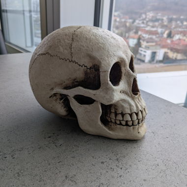 Tête de mort décorative