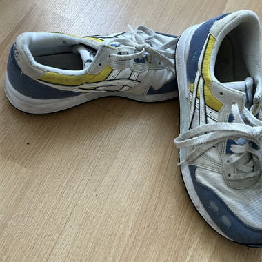 Asics shoes