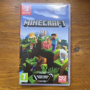 Minecraft Nintendo Switch
