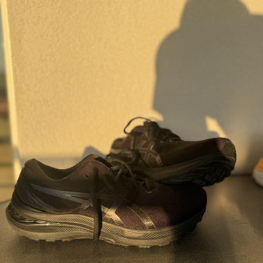 Gel Kayano 29