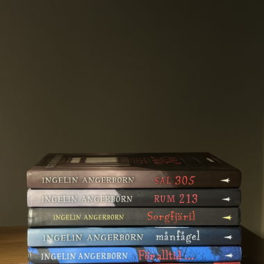 Ingelin Angerborn Swedish Books: Rum 213, Månfågel