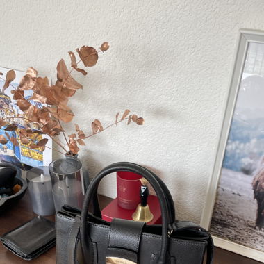 Furla purse
