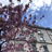 flomi_05