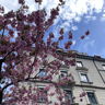 flomi_05