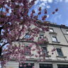 flomi_05