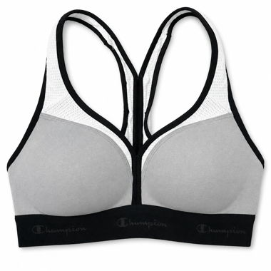 Champion Sports Bra