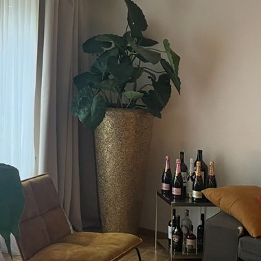 Tall gold-coloured plant pot with plant