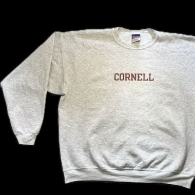 Pullover/ Champion