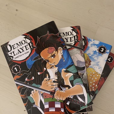 Manga demon slayer