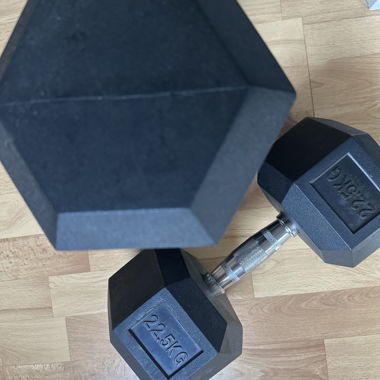 2 manubri da 22,5 kg