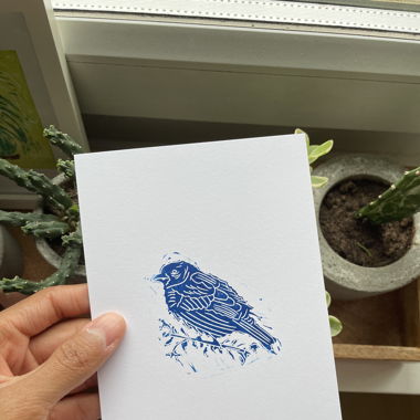Little blue sparrow