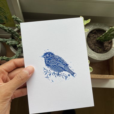 Little blue sparrow