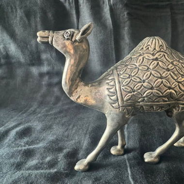 Dromedario indiano in metallo argentato 🐫