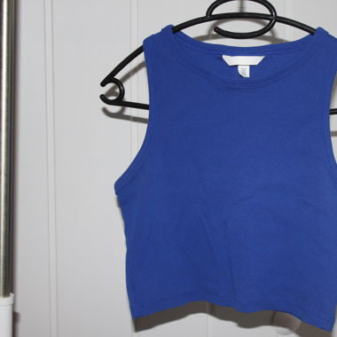 Blue cropped halter top