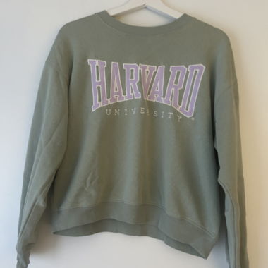 Sweat à capuche Harvard Gr. S