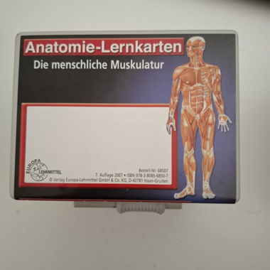 Carte didattiche di anatomia: muscolatura