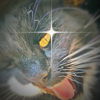 9lives_used_drygoods