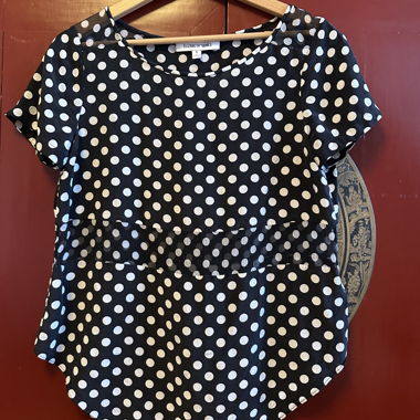 Black Silk Polka Dot Blouse Elizabeth and James