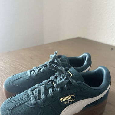 Puma Palermo - green