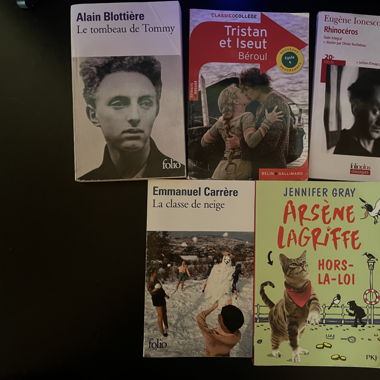 Pack de roman à 7chf l’unité prix négociable 
