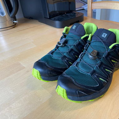 Salomon Trail Shoe