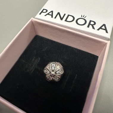 Clip Pandora