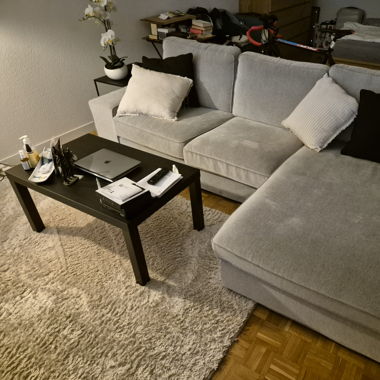 Sofa + Tisch + Teppich