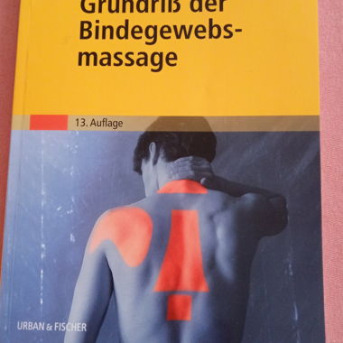 Schema della massoterapia del tessuto connettivo