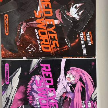Manga Red Eyes Sword