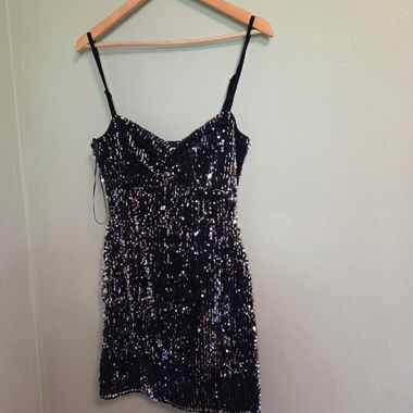 Zara Basic Black Sequin Dress