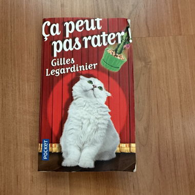 Ça peut pas rater / Gilles Legardinier